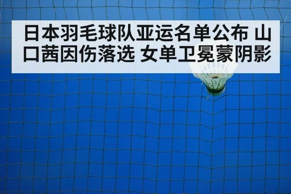 badminton court